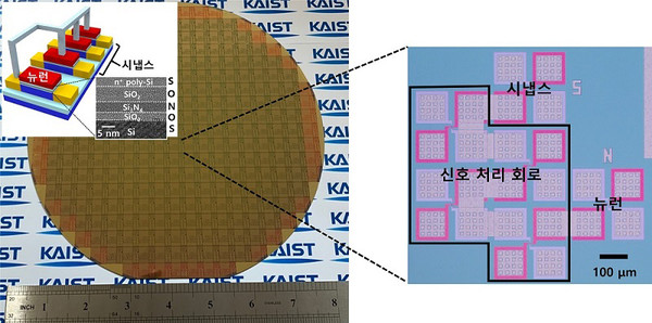 상용화된 CMOS 공정으로 제작된 단일 트랜지스터 기반 뉴런과 시냅스 [사진=KAIST]